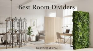 Best Room Dividers