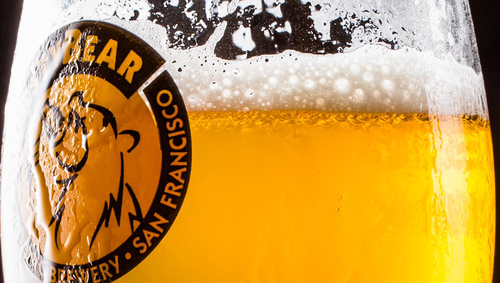 “FOGGY” IPA’S!!