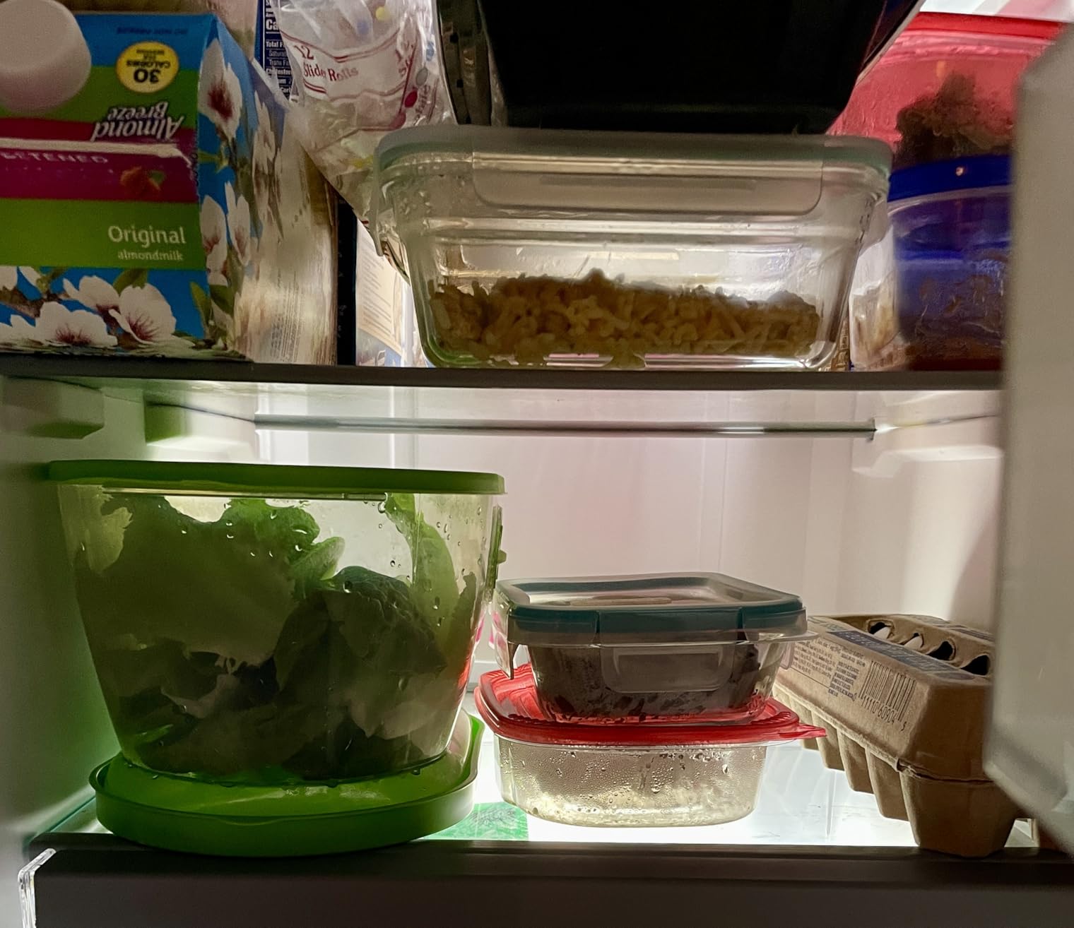 Prep Solutions by Progressive Lettuce Keeper Produce Storage Container, 4.7 Quarts, Green (LKS-06) customer photo 1