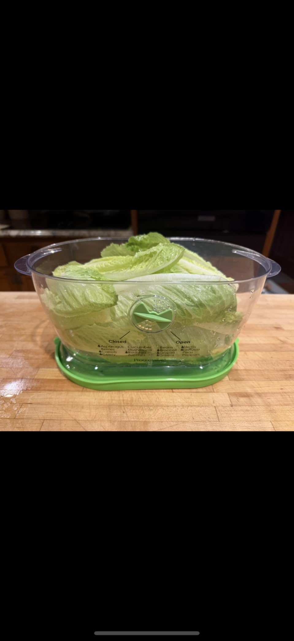 Prep Solutions by Progressive Lettuce Keeper Produce Storage Container, 4.7 Quarts, Green (LKS-06) customer photo 2