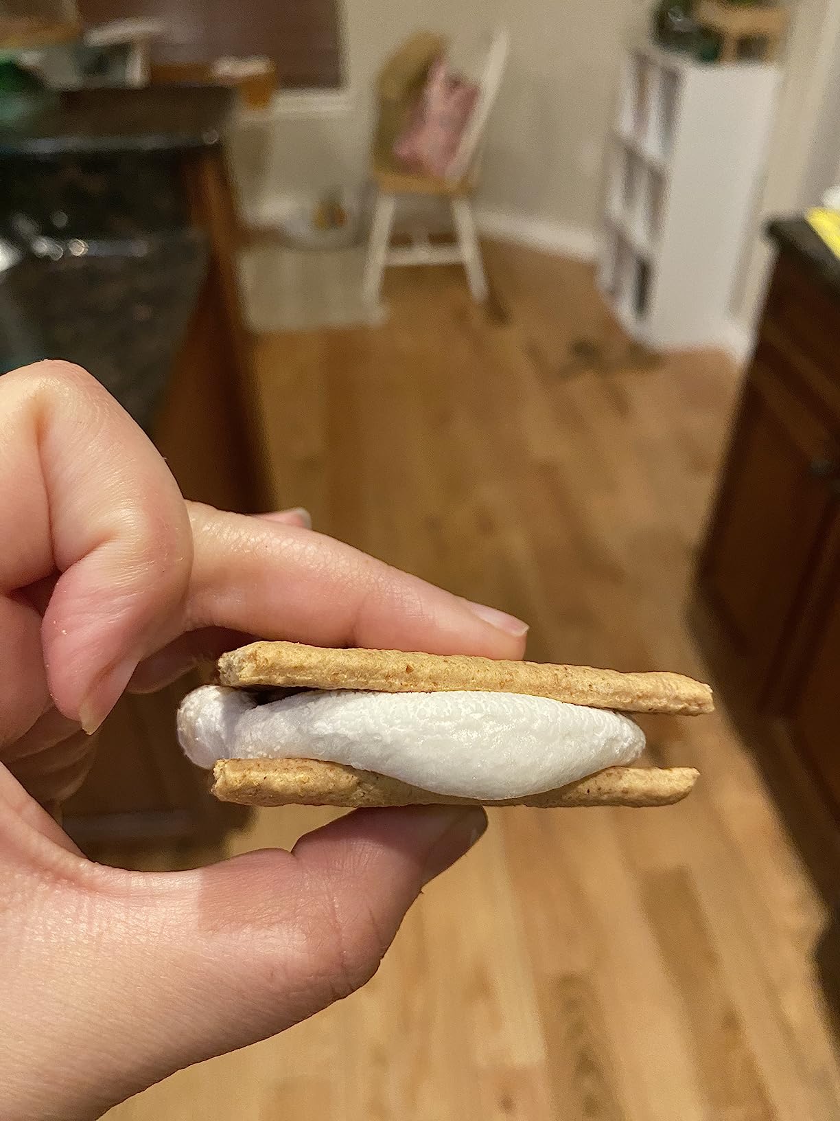 PrepSolutions Microwave S'mores Maker, Brown/White - Easy S'mores in Minutes, Perfect for Indoor & Outdoor Use customer photo 1