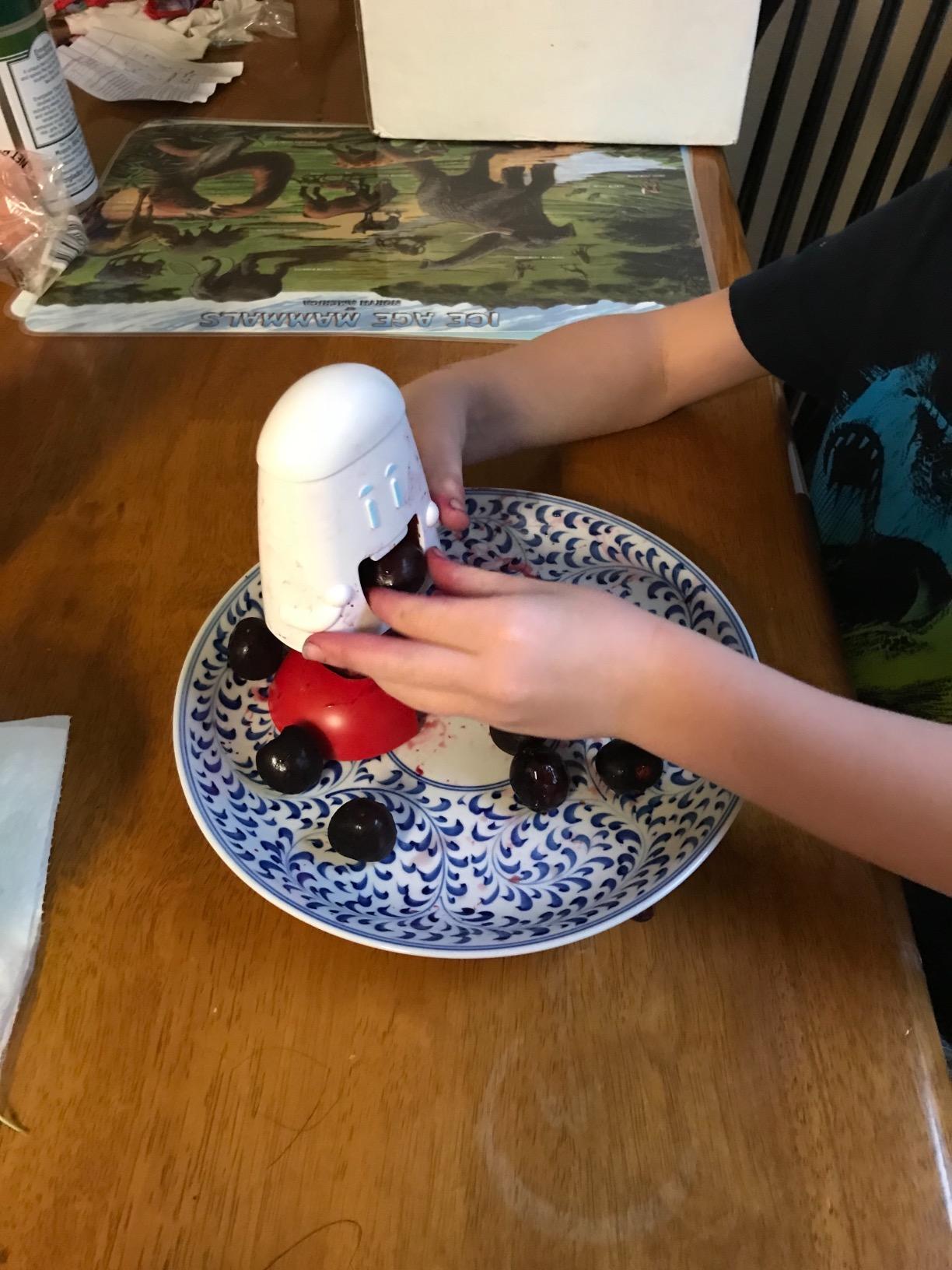Talisman Designs Cherry Pitter | Family Friendly Kitchen Tools | Fun & Functional Cherry Chomper customer photo 1