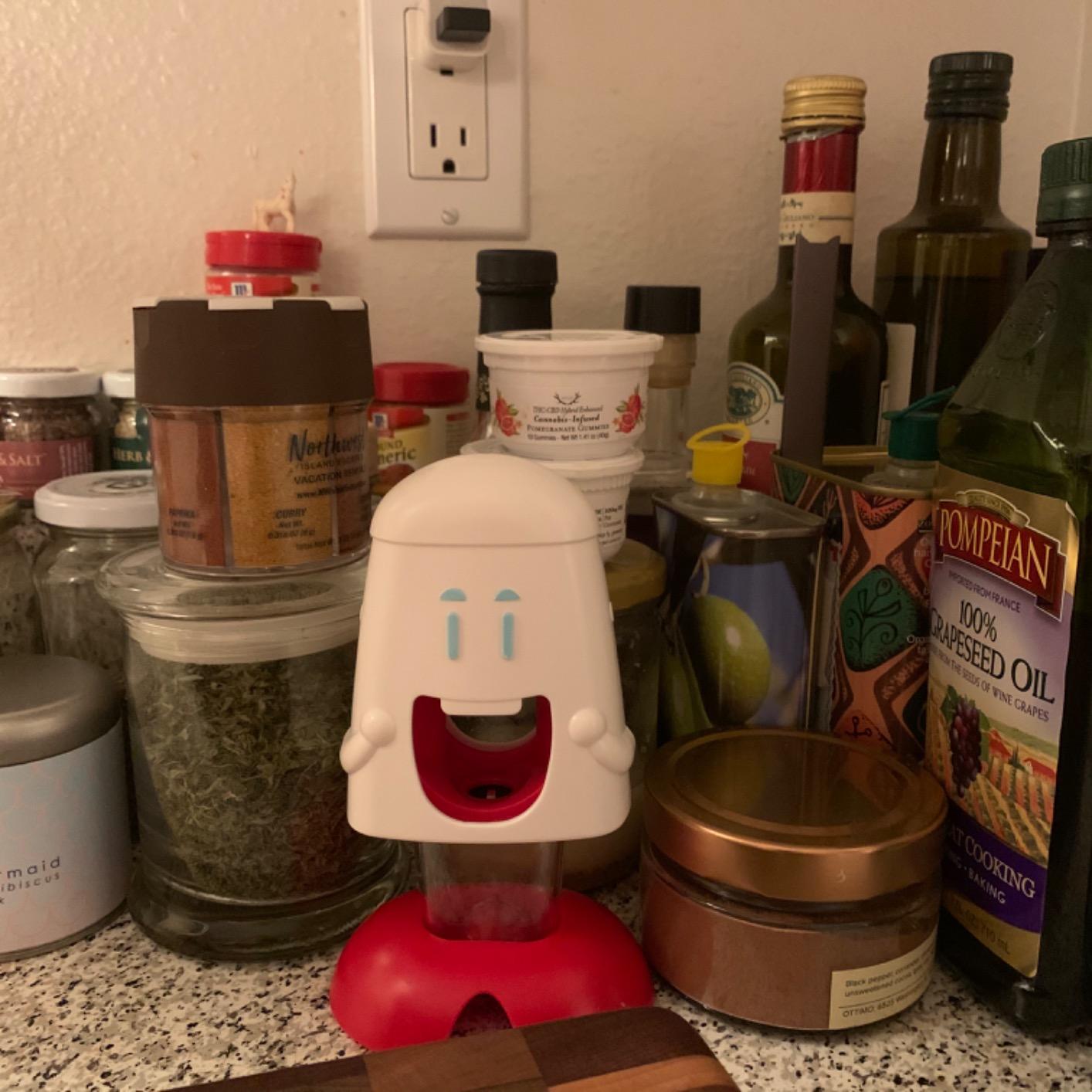 Talisman Designs Cherry Pitter | Family Friendly Kitchen Tools | Fun & Functional Cherry Chomper customer photo 2