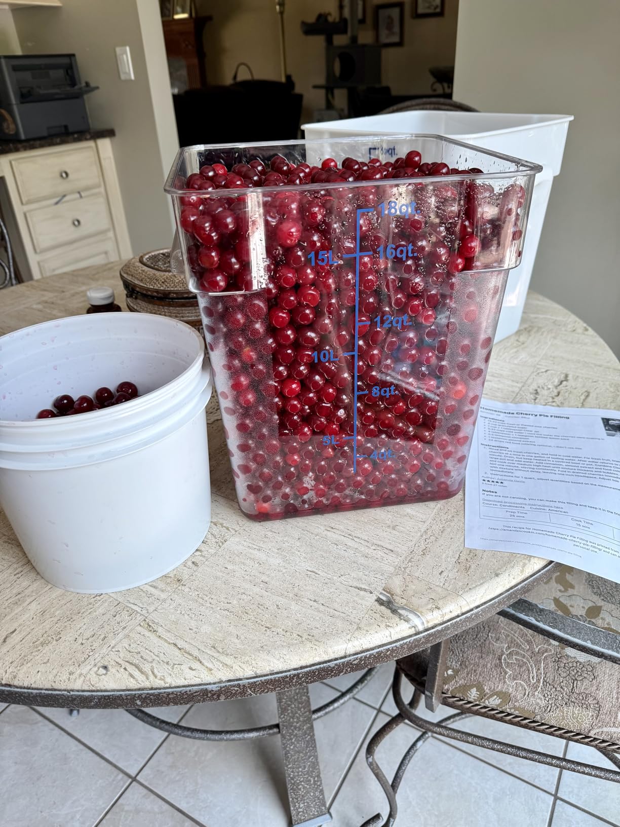 Norpro Deluxe Cherry Pitter Automatic Feed Tray customer photo 1