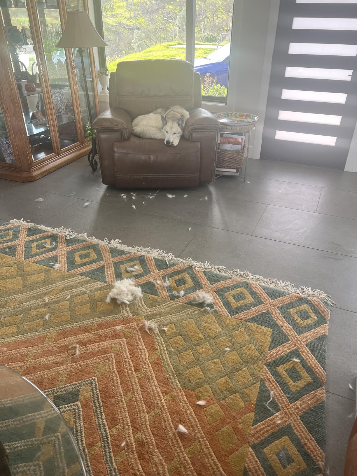 Hoover Commercial Shoulder Vac Pro Backpack Bagged Vacuum Cleaner, with HEPA Media Filter, Lightweight, C2401 customer photo 1