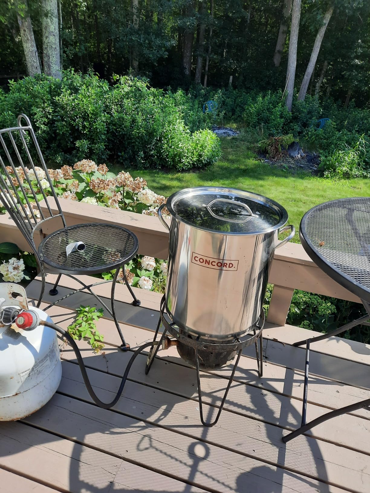 CONCORD 42 QT Stainless Steel Stock Pot w/Basket. Heavy Kettle. Cookware for Boiling customer photo 2