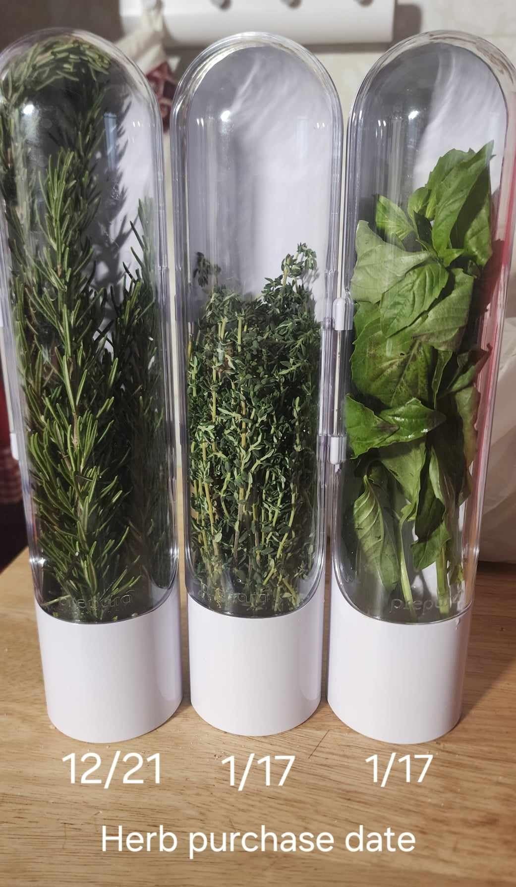 Prepara Herb Savor Pod 2.0, Set of 3, White customer photo 1