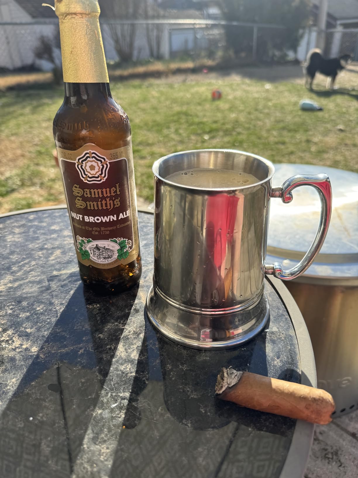 Viski Stainless Steel Beer Stein, Double-Walled Mug with Handle, 16 oz customer photo 1