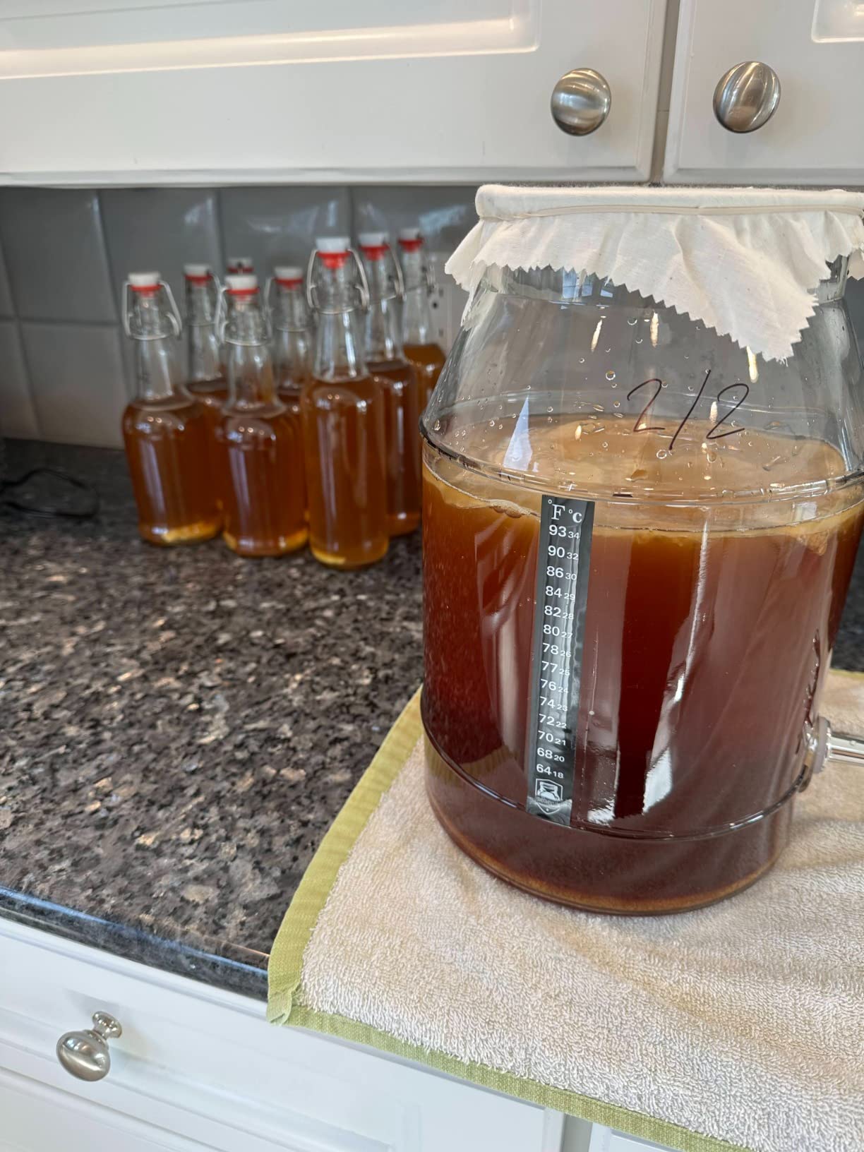 Deluxe Organic Kombucha Starter Kit - Six Swing Top Bottles, Stainless Steel Funnel, Custom Bottle Brush & Our Original Brewing Kit customer photo 1