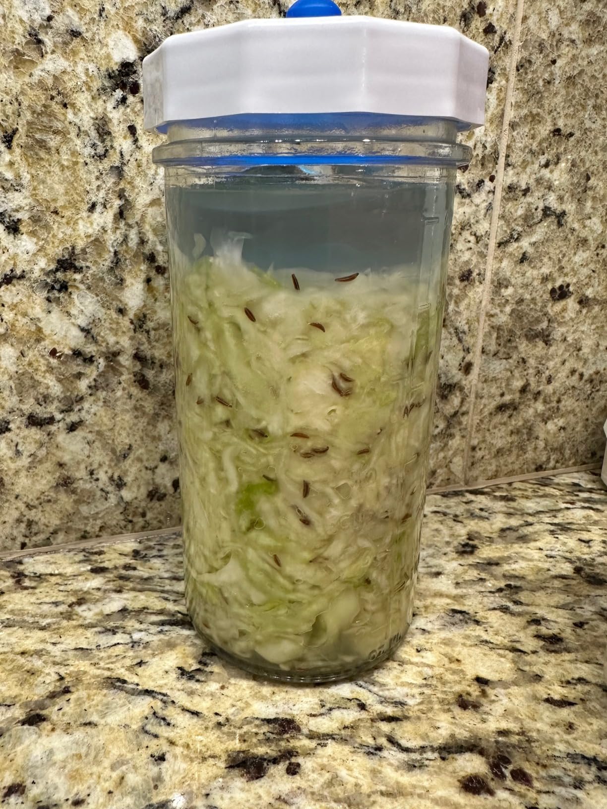 Masontops Complete Mason Jar Fermentation Kit - Pickle Kit, Sauerkraut Making Kit Kimchi Container - Fermentation Airlock Lids Wide Mouth Mason Jars customer photo 2