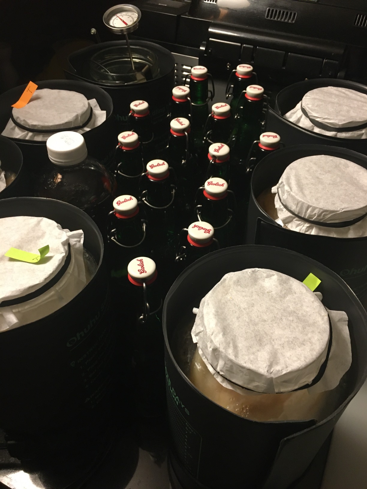 Fermentaholics ORGANIC Kombucha SCOBY With Twelve Ounces of Starter Tea - Live Starter Culture - Makes A One Gallon Batch customer photo 1