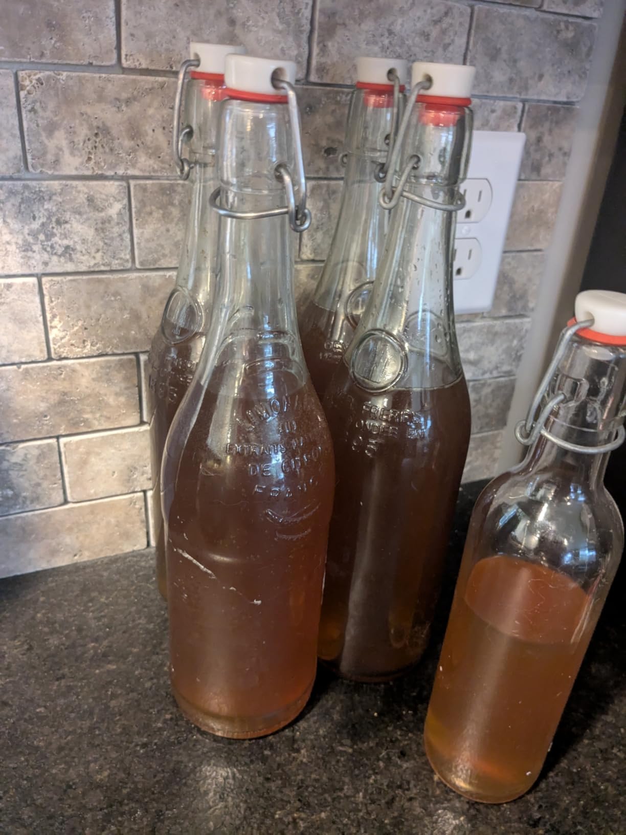 Fermentaholics ORGANIC Kombucha SCOBY With Twelve Ounces of Starter Tea - Live Starter Culture - Makes A One Gallon Batch customer photo 2