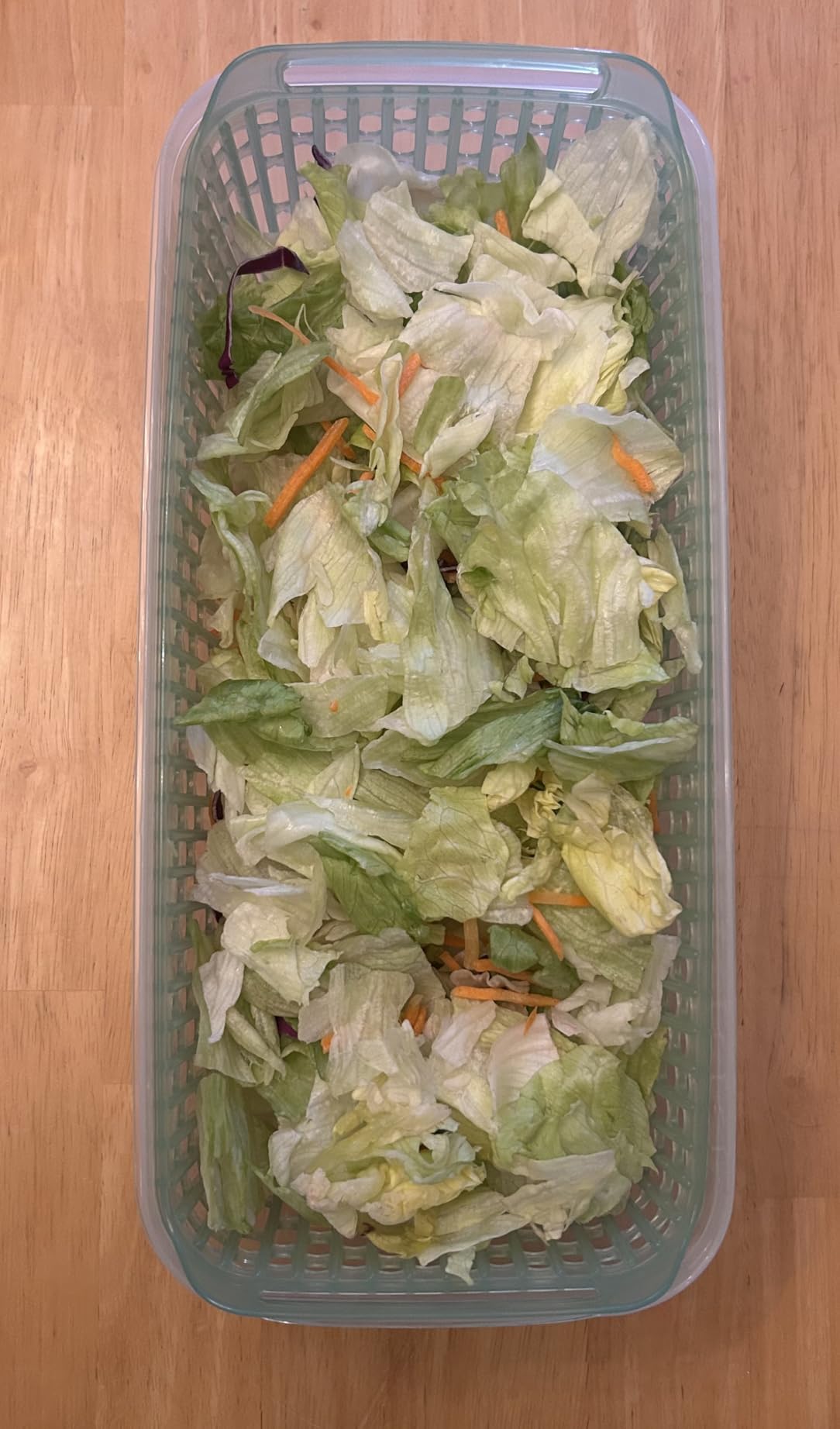 OXO Good Grips Greensaver Herb Keeper - 2.8 Qt customer photo 1