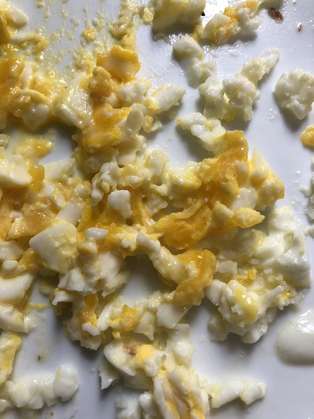 Sistema Microwave Poacher for up to 4 Eggs, Red/Clear, 28.7 x 20.5 x 8.4 cm customer photo 1