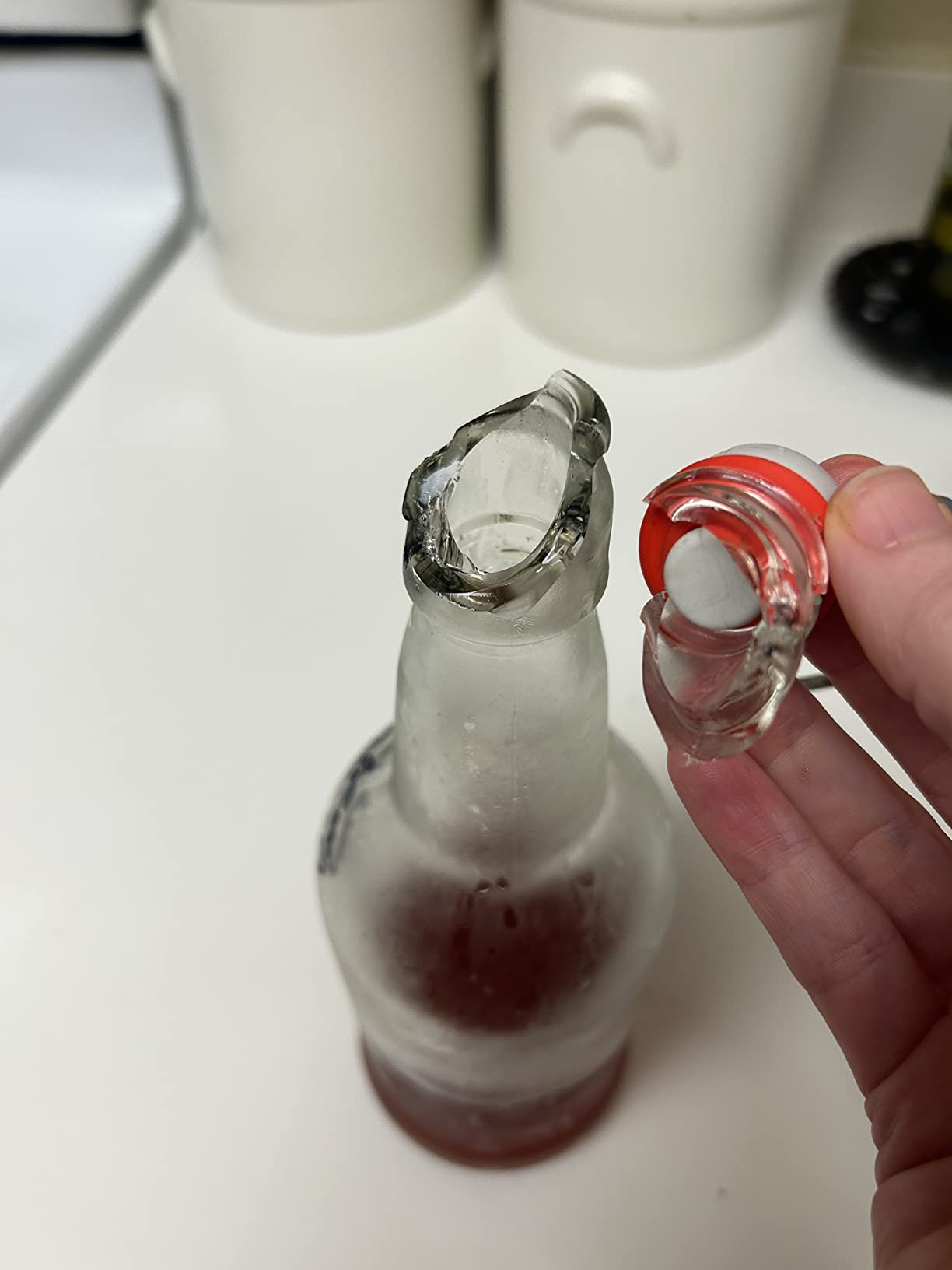 Fermentaholics Kombucha Bottling Kit - 7 Glass Bottles, Stainless Steel Funnel & Cleaning Brush - Airtight, High-Pressure Bottles for Ginger Beer & More customer photo 1