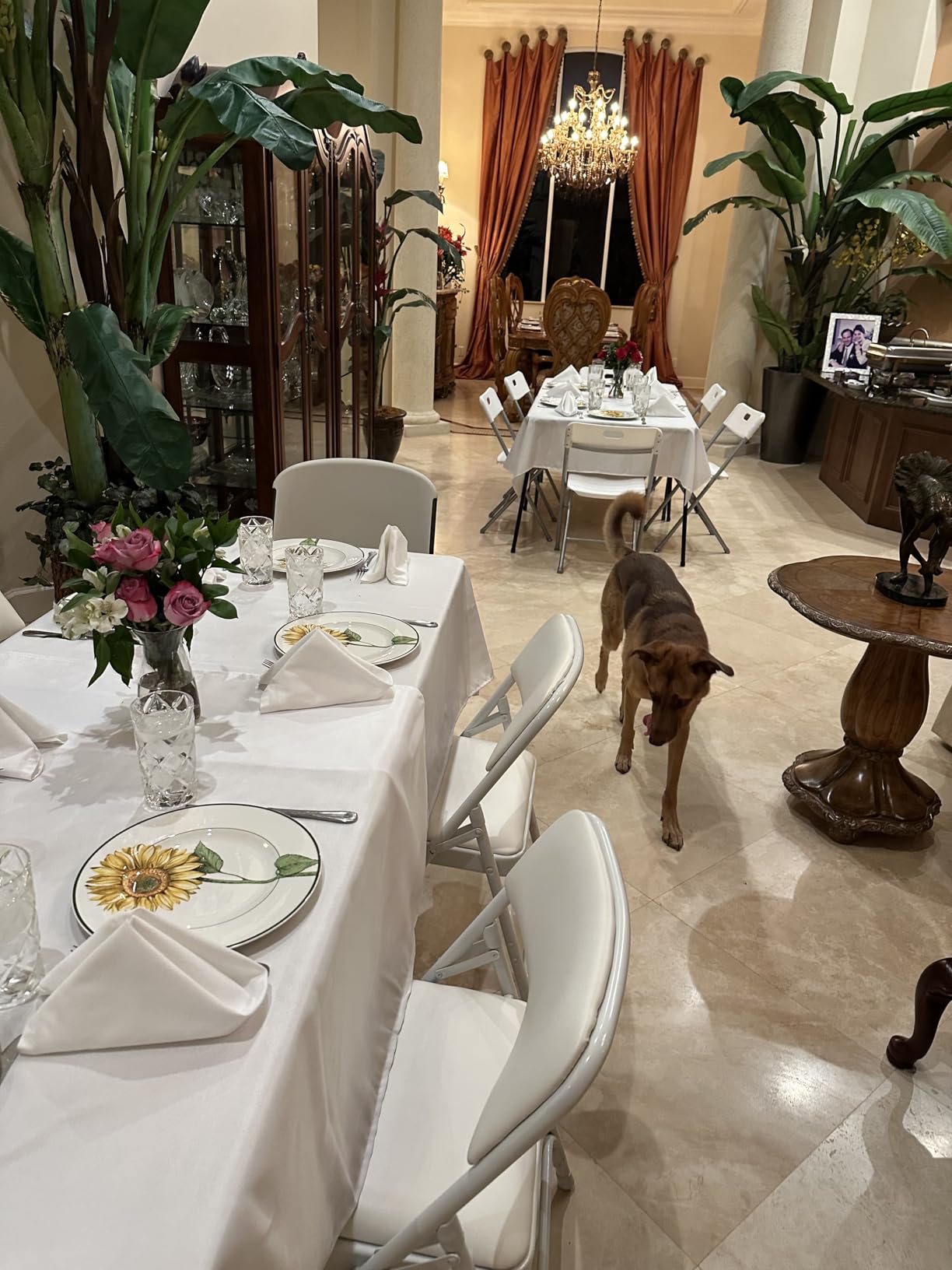 Urban Villa Cloth Napkins White Dinner Napkins Set of 12 (18X18) 100% Cotton Absorbent Washable Durable Reusable Cloth Napkins Ideal for Easter Decorations Hotel Collection Farmhouse Parties Napkins customer photo 2