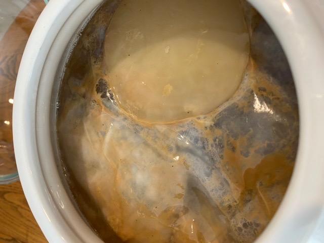 1 Gallon Jun Kombucha Starter Kit - Includes USDA Organic Jun SCOBY & Starter Tea + Ingredients To Start Brewing Your Own Jun Tea customer photo 2