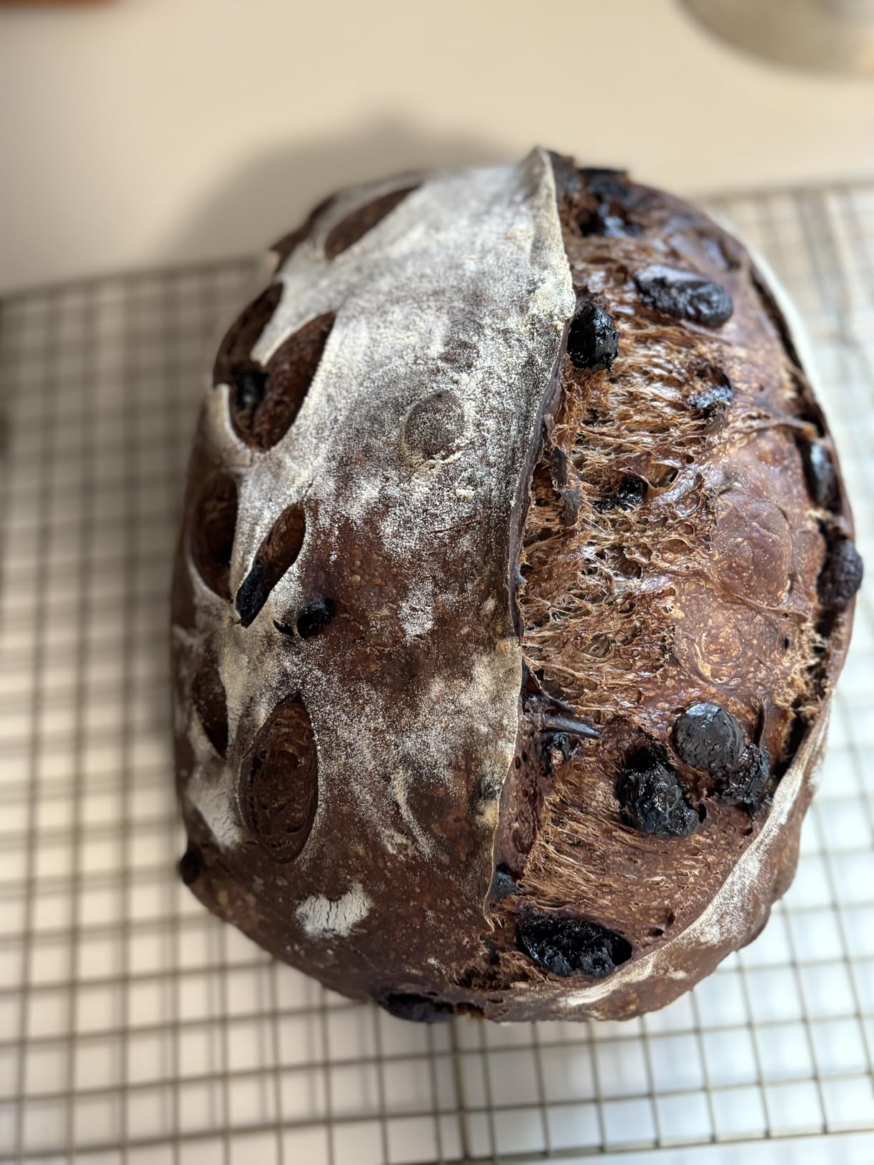 Emile Henry Artisan Bread Baker | Charcoal customer photo 1