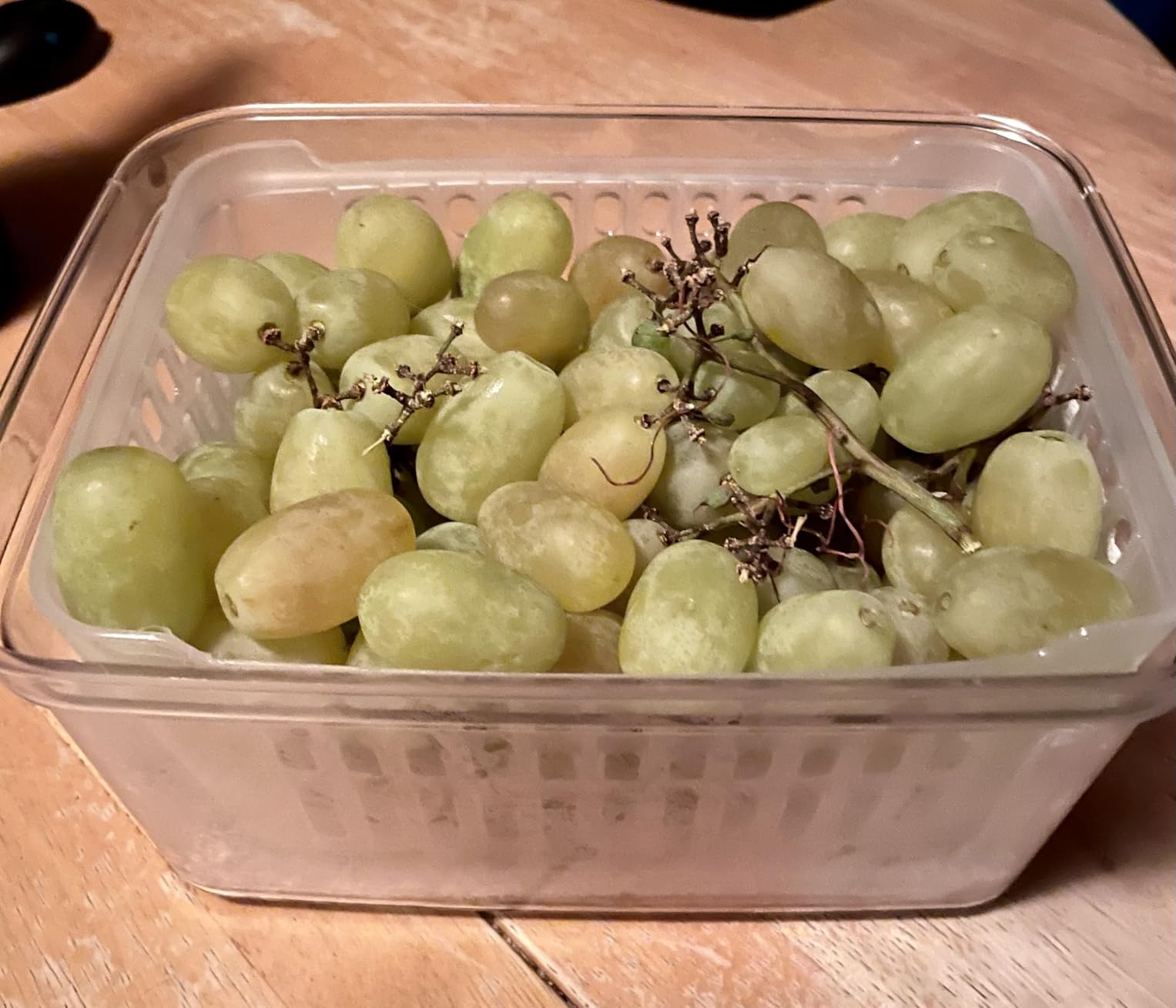 BINO Produce Saver - 6.8 Cup/1.6L | Fridge Storage Containers for Fruits and Vegetables | Adjustable Air Vent, Removable Basket | BPA-Free Fridge Organizers customer photo 1