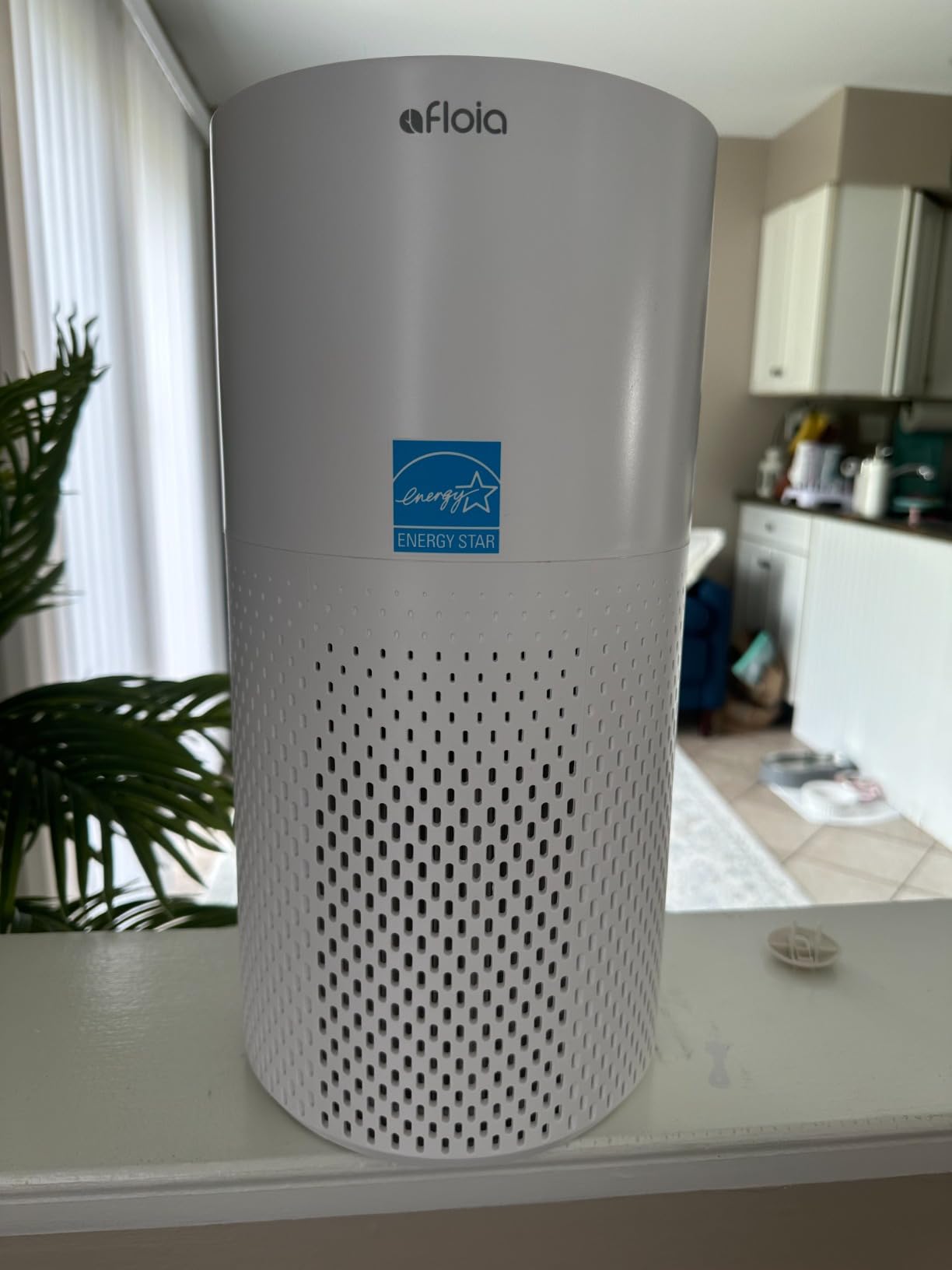 Afloia Air Purifiers for Home Bedroom Large Room Up to 1076 Ft², 3-Stage Filter Cleaner Odor Eliminator, Remove Pets Dust Dander Hair Allergy Mold Pollen Smoke Smell, Quiet 22 dB, 7 Colors Night Light customer photo 1