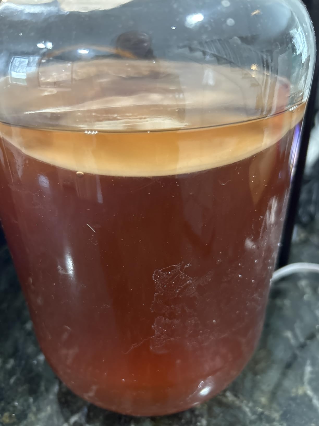 Organic SCOBY Kombucha Starter Kit with Live Culture for Brewing Kombucha Tea - Urban Kitchen customer photo 1