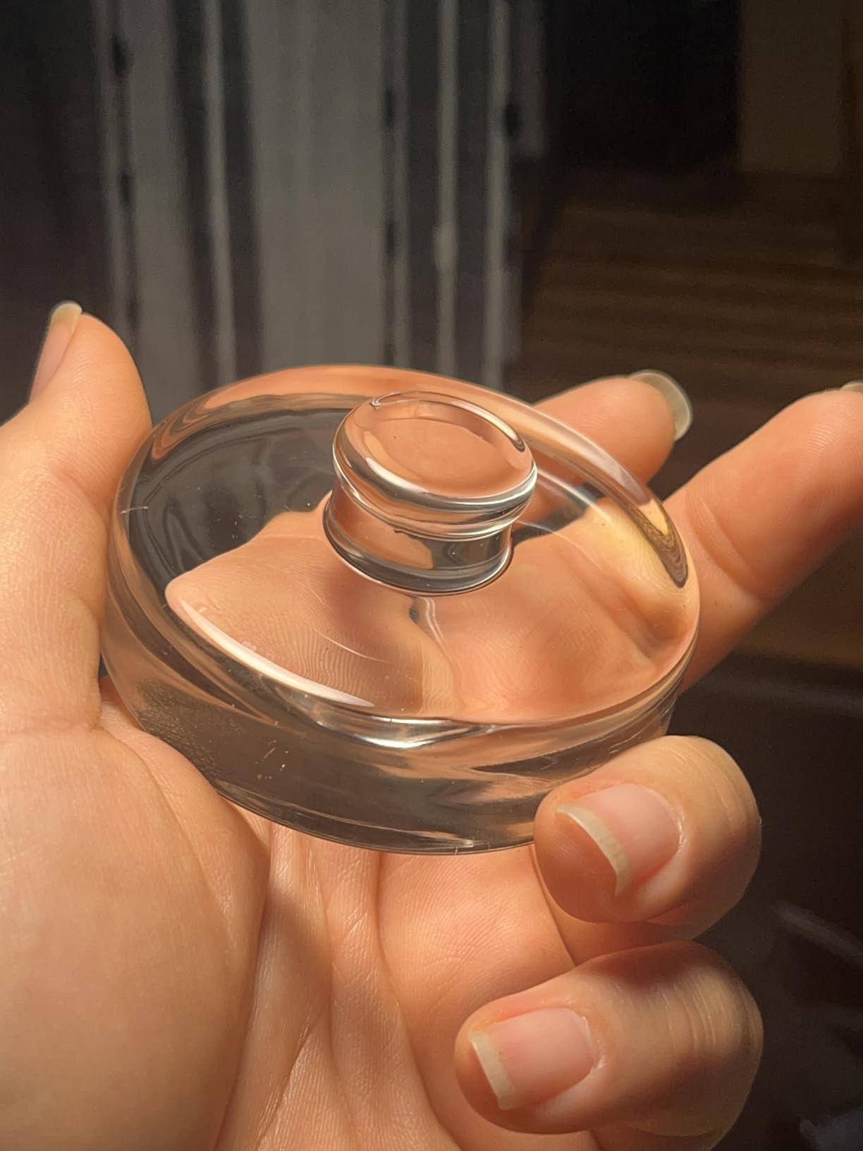 Eleganttime 4 Pack Easy Grip Handle Glass Fermentation Weights Great Mason Jar Wide Mouth Canning Fermenting Pickling Sourkrout Kraut Weight Fermentation Kit customer photo 2