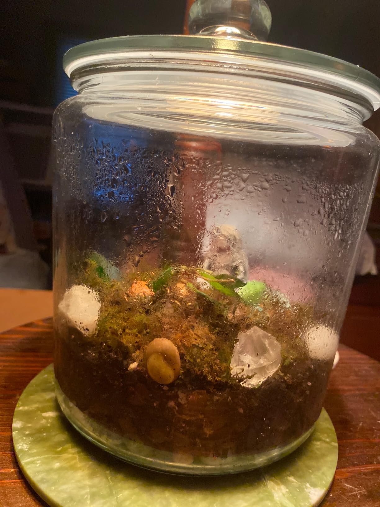 1 Gallon Glass Cookie Jar with Lid - Glass Jar with Lid - Airtight Food Storage Container for Cookies, Candy, Flour, Dog Treats - Clear Large Kitchen Jar for Pantry - Glass Containers with Lids customer photo 2