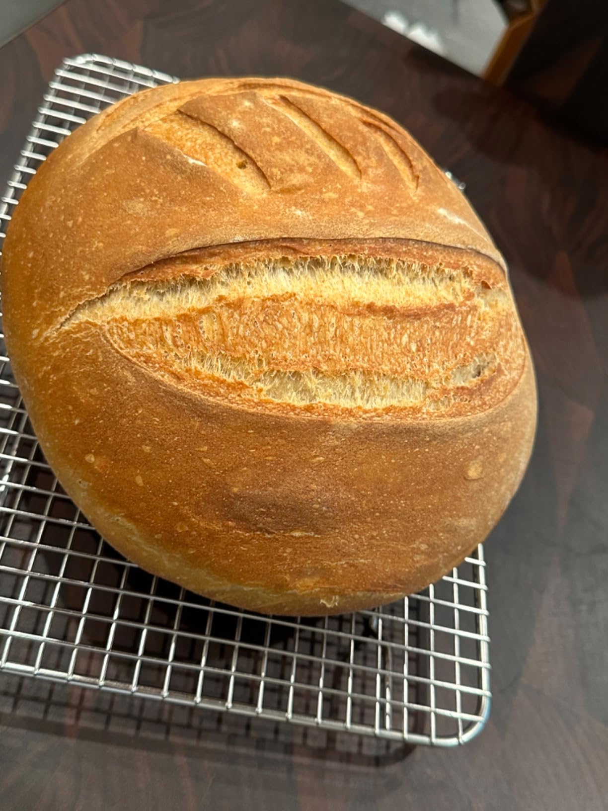 Le Creuset Enameled Cast Iron Signature Round Bread Oven, 9.5 inch, Cerise customer photo 2
