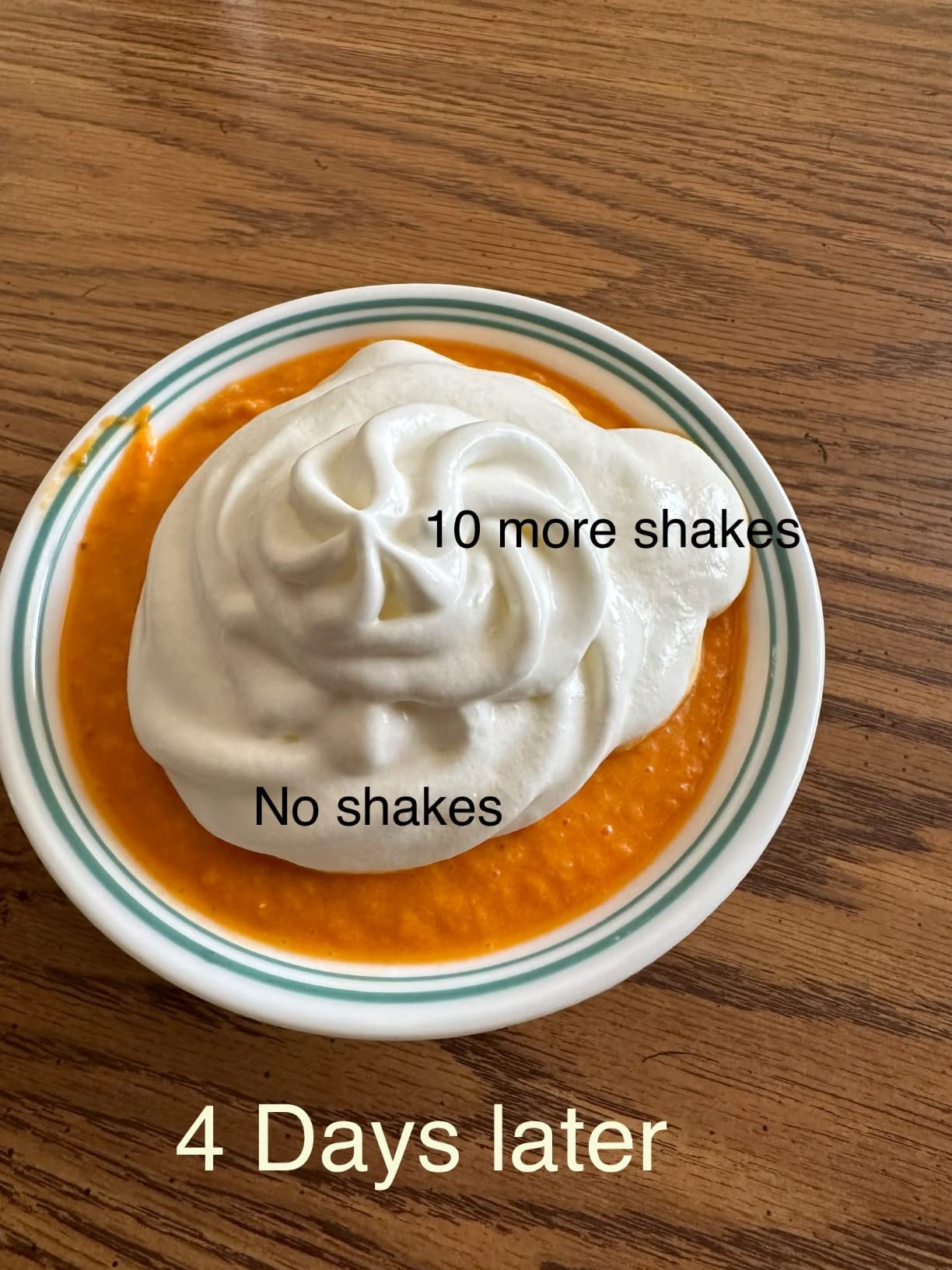 Professional Stainless Steel Whipped Cream Dispenser - 500 mL / 1 Pint, Includes 3 Decorating Nozzles, Cleaning Brush & Storage Bag customer photo 1