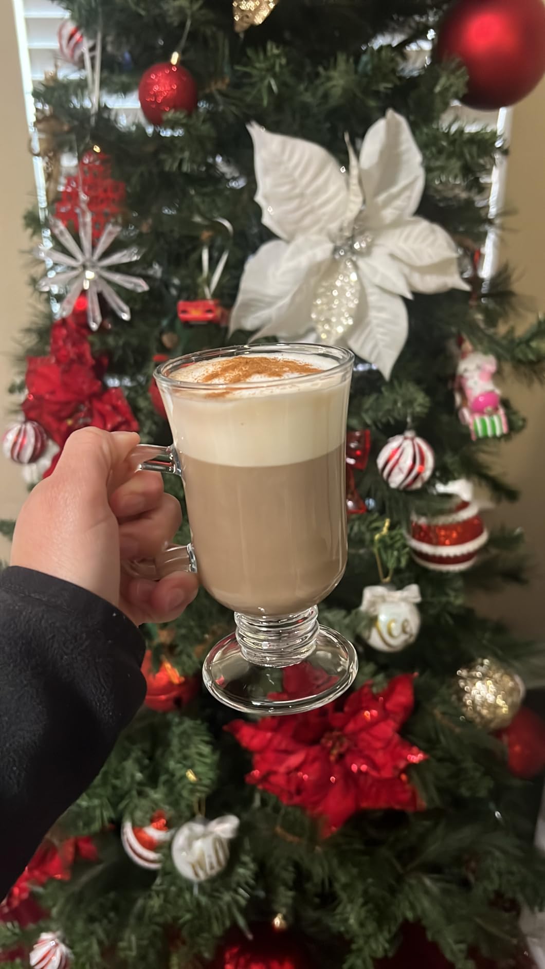 ZENFUN Set of 6 Irish Coffee Mugs, 8 Oz Glass Footed Espresso Cups with Handles, Clear Goblet Mugs Glasses for Coffee, Latte, Cappuccino, Smoothie customer photo 1