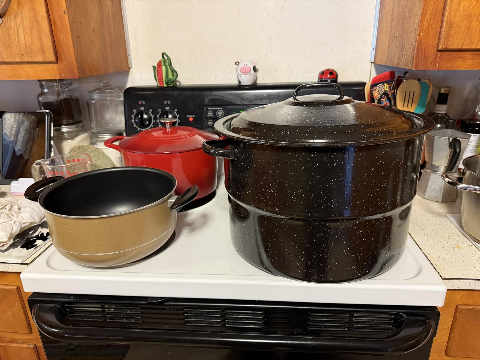 Supa Ant Canning Supplies - Water Bath Canning Pot with Rack & Lid - Starter Kits Set for Beginners customer photo 1
