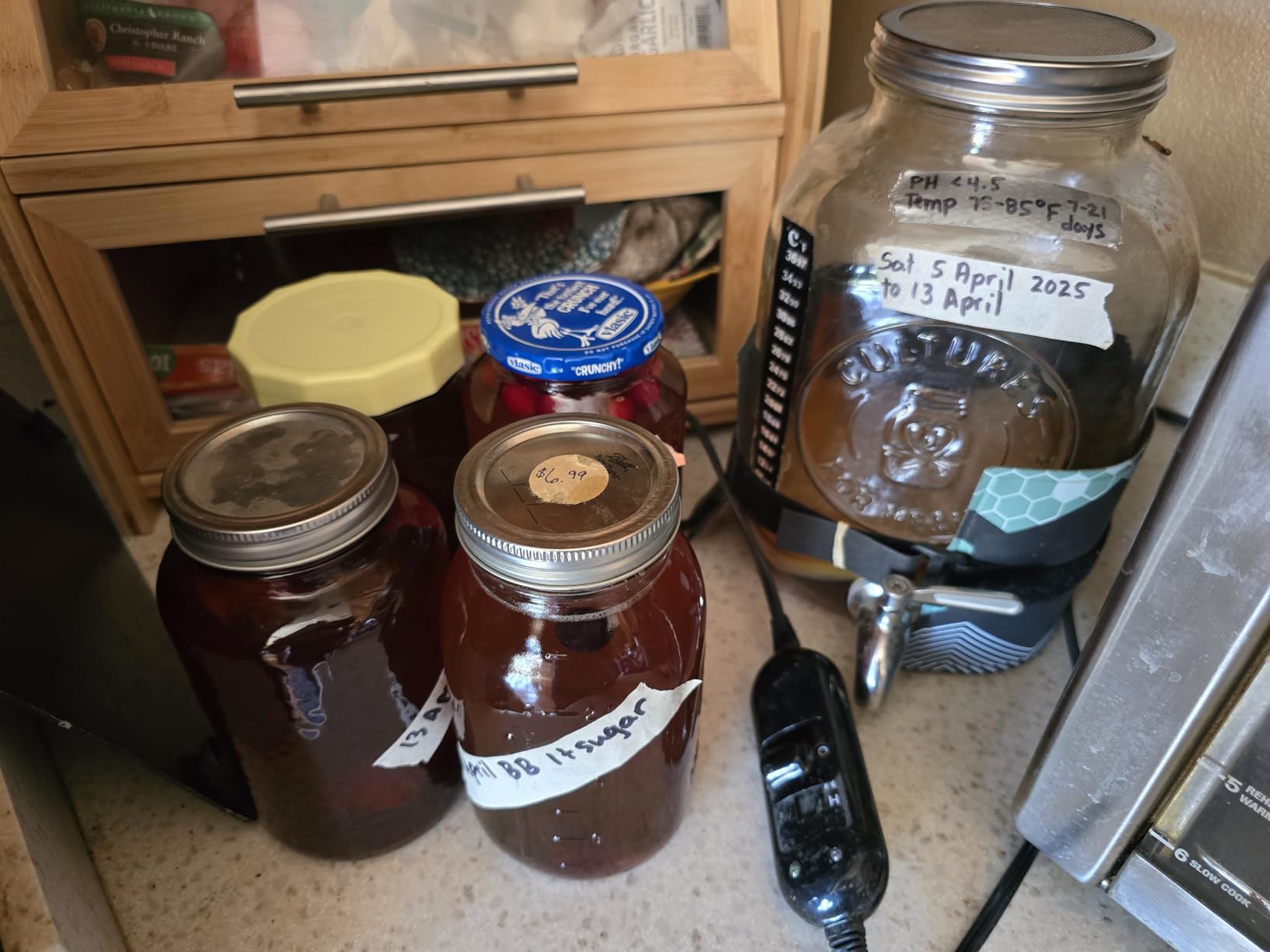 Cultures for Health Continuous Kombucha Brewing Jar with Spigot | 5 Liter Glass Jar with Spout for DIY Fermentation | Long Term Kombucha SCOBY Hotel Jar customer photo 1