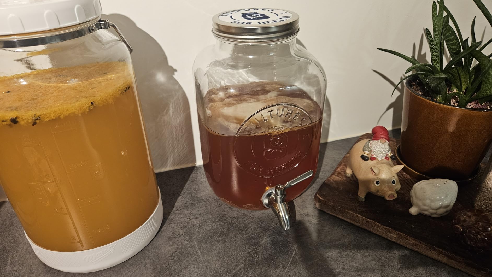 Cultures for Health Continuous Kombucha Brewing Jar with Spigot | 5 Liter Glass Jar with Spout for DIY Fermentation | Long Term Kombucha SCOBY Hotel Jar customer photo 2