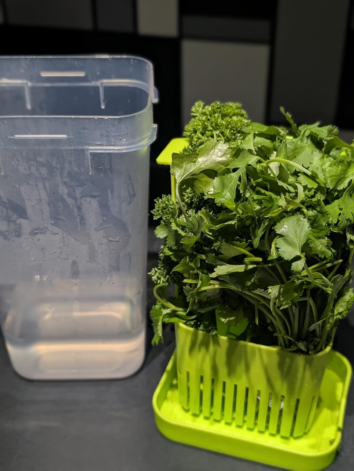 LUVCOSY Fresh Herb Keeper for Refrigerator, Clear BPA-Free Herb Saver, Storage Container for Cilantro, Parsley, Thyme, Mint & Asparagus, Preserver Keeps Fresh Herbs for 3 Times Longer, Green & Orange customer photo 1