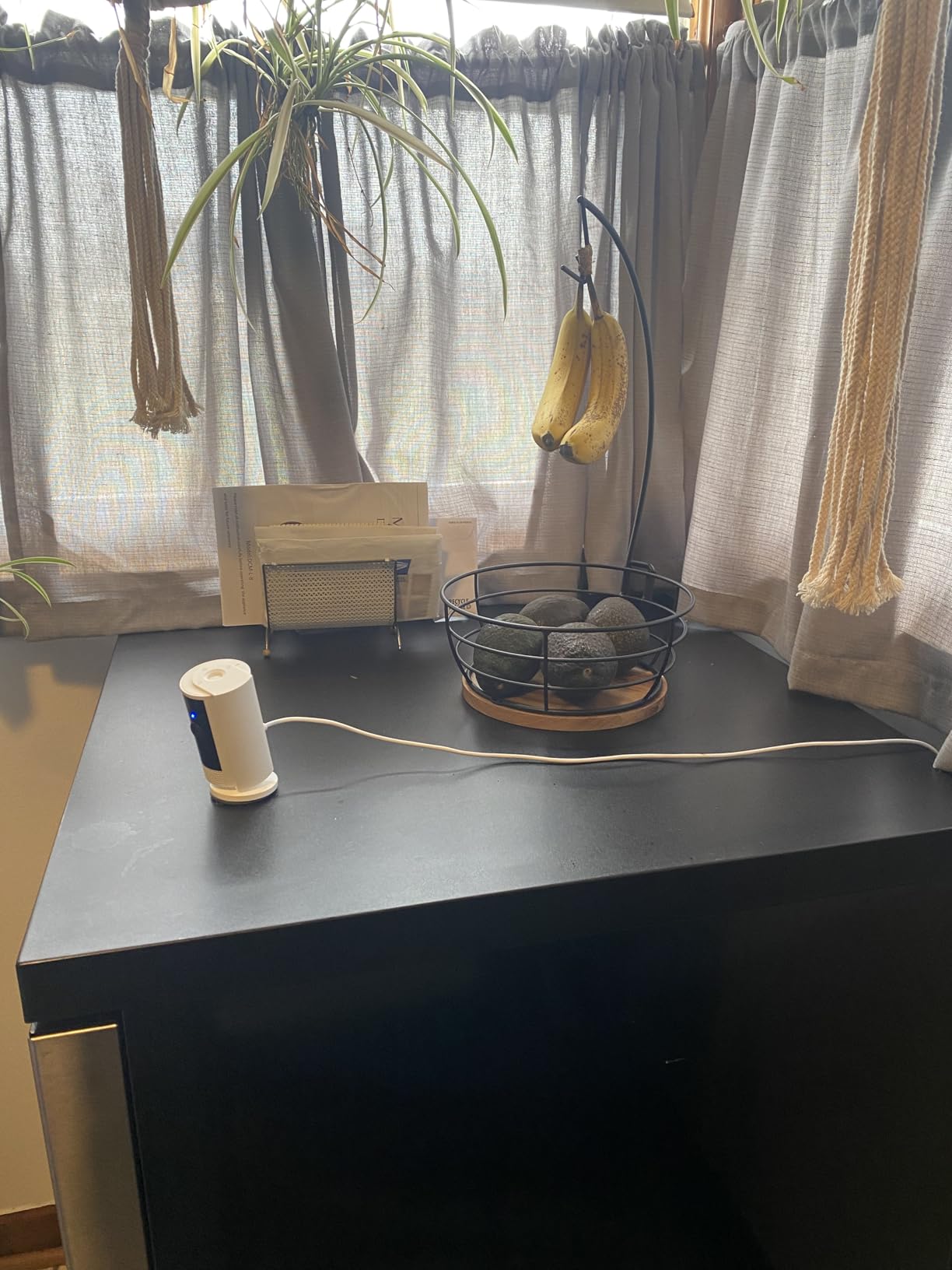 Livabber Countertop Fruit Basket Bowl with Banana Hanger, Modern Standing Fruit Vegetable Bowl Storage, with Banana Tree Holder for Kitchen Dinning Table (Round Wood, Black) customer photo 1