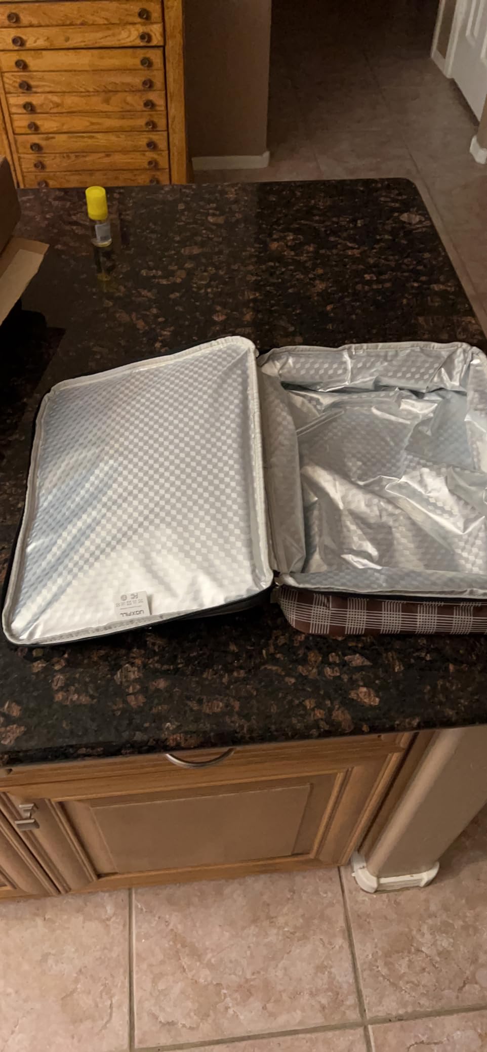 Food Warmer Electric Casserole Carrier - Large Heated Lunch Bag for Car Truck, 12V/24V/110V, Thermos for hot food for Potluck Cookouts Parties Picnic,Lasagna Lugger,Fits 9