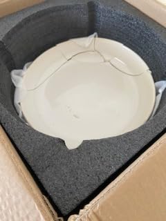 Artena Pasta Bowls, 50oz Large Salad Serving Bowls, 9.75
