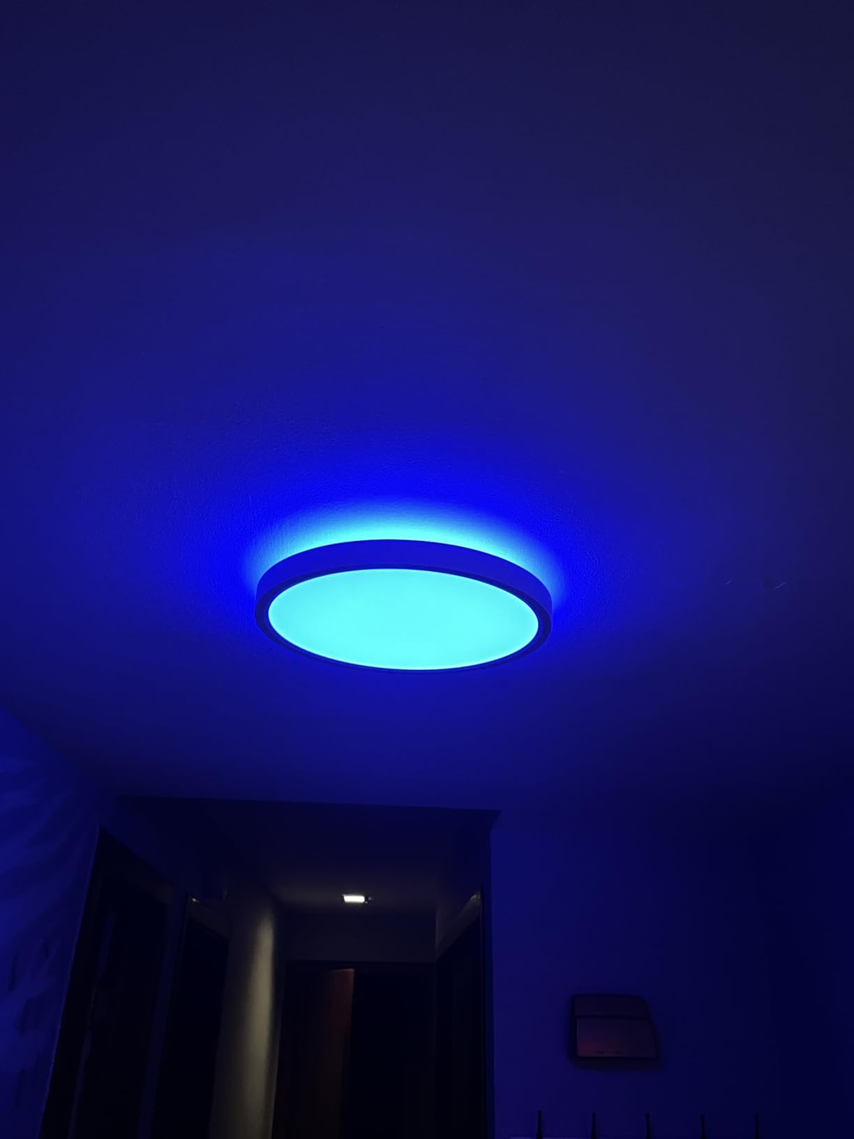 Govee Smart Ceiling Light, RGBIC LED Ceiling Light Fixture, 2400LM Flush Mount Light Fixture, DIY Colors, Works with Alexa, 2200K-6500K Lights for Bedroom, Living Room, 12 Inch, 1 Pack (White) customer photo 2