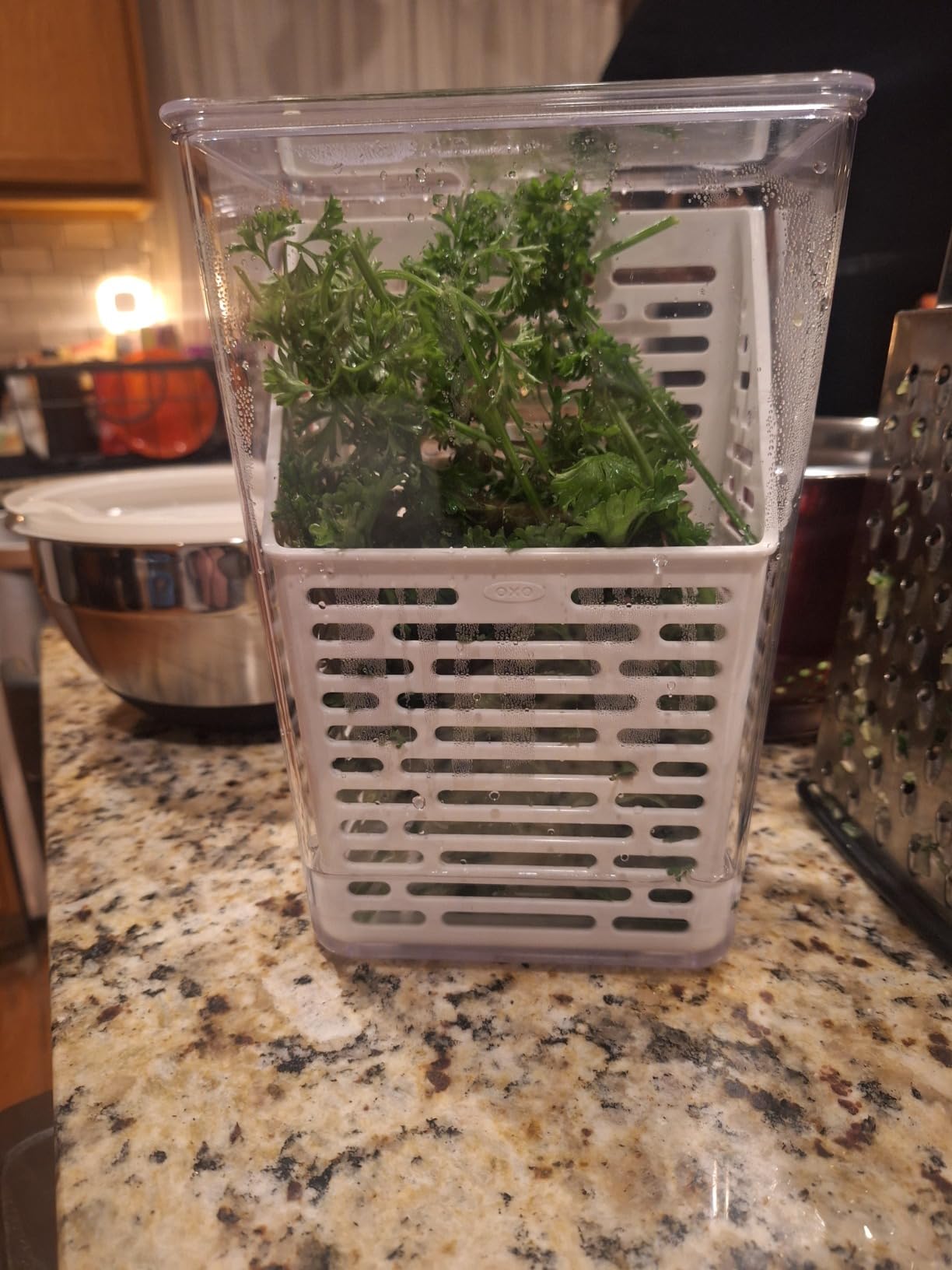 OXO Good Grips Produce Saver - Herb Keeper customer photo 1