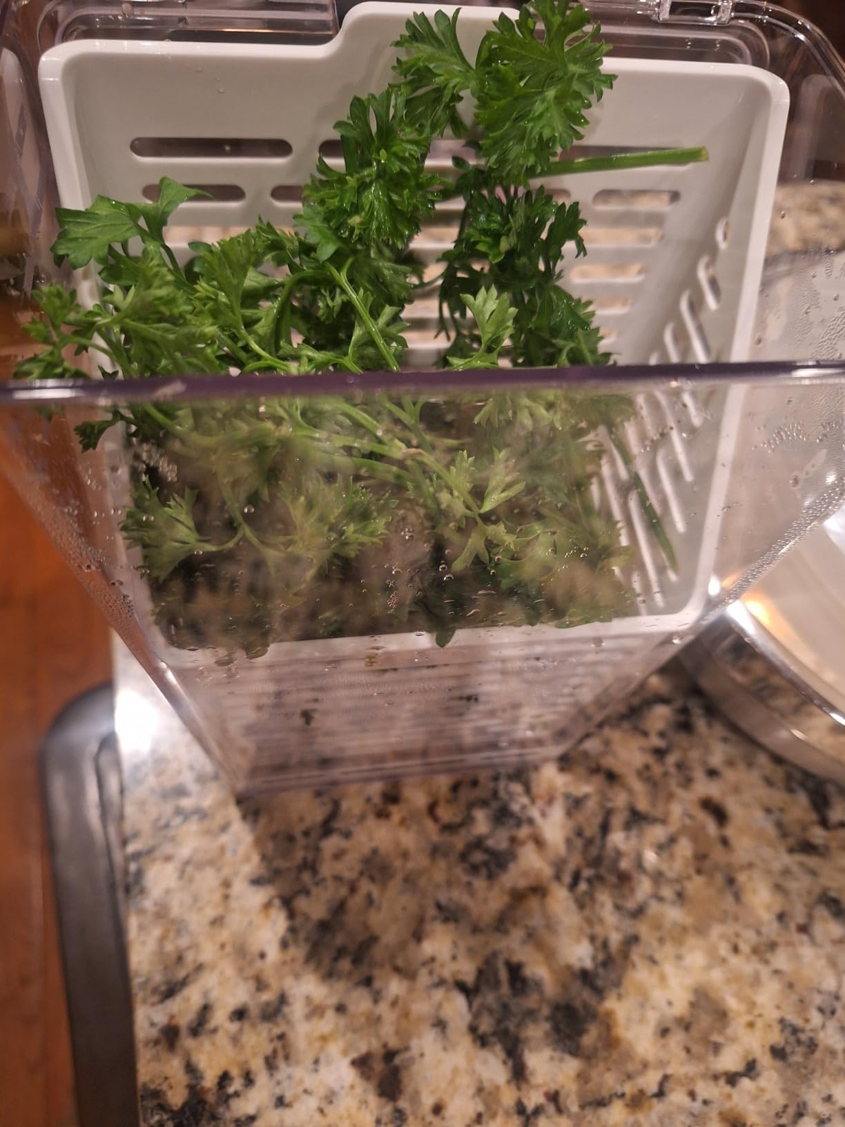OXO Good Grips Produce Saver - Herb Keeper customer photo 2