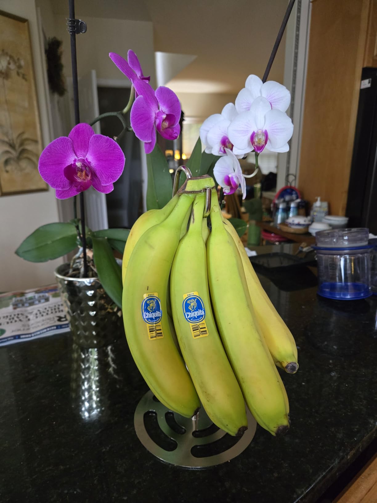 Banana Holder Stand Stainless Steel, Modern Banana Tree Hanger with Larger Base & Won't Topple Over, Banana Hanger Rack for Any Kitchen Countertop customer photo 1