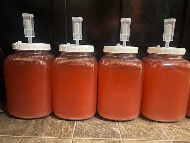 Folinstall 1.5 Gallon Large Fermentation Jars with 2 Airtight Lids and 3 Airlocks, Wide Mouth Glass Mason Jar with Scale Mark, 2 Pack customer photo 1