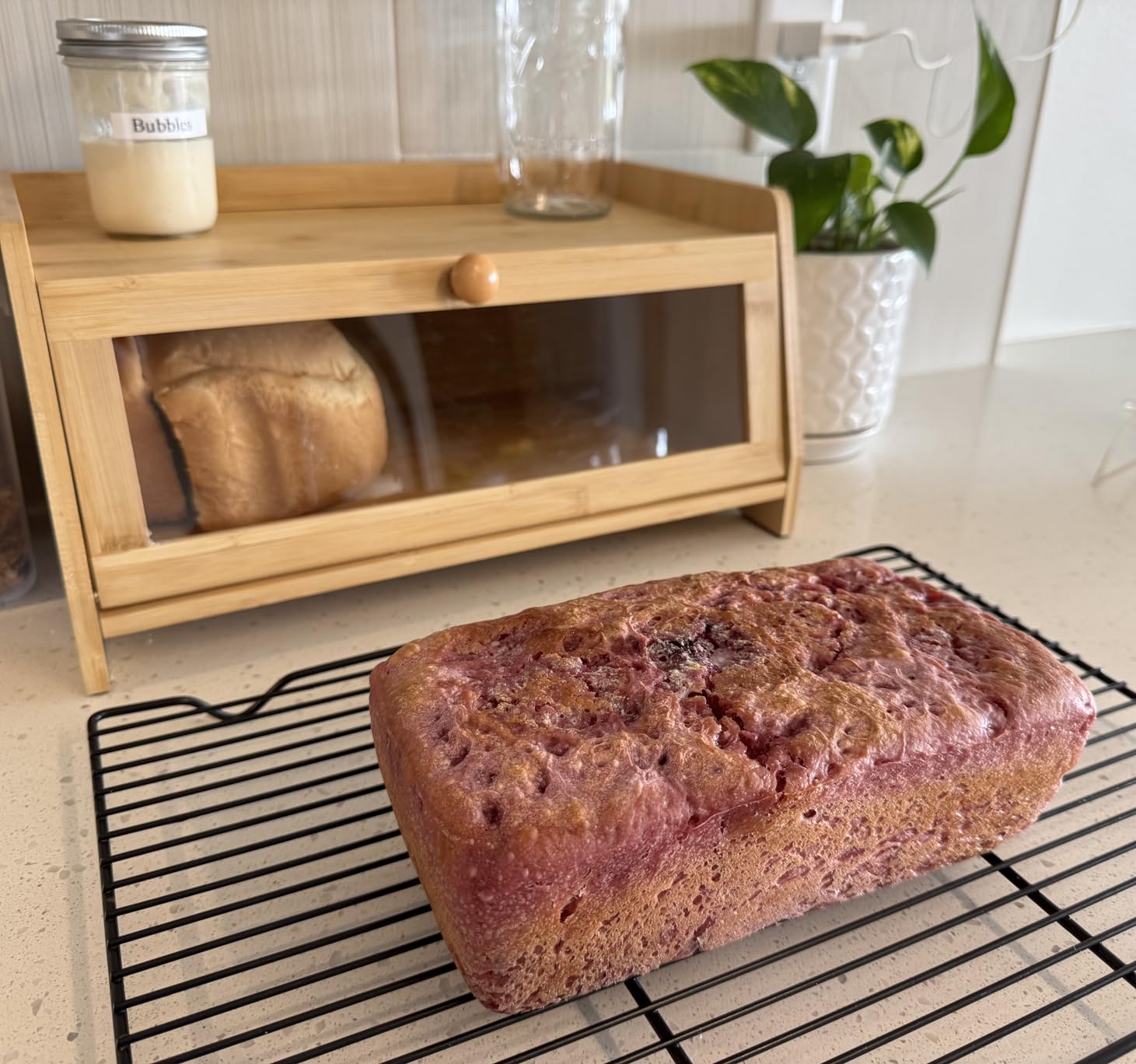 Bread Box for Kitchen Countertop, Large Bread Container Storage, Wooden Farmhouse Bread Box with Window Bread Holder (Natural Bamboo) customer photo 2