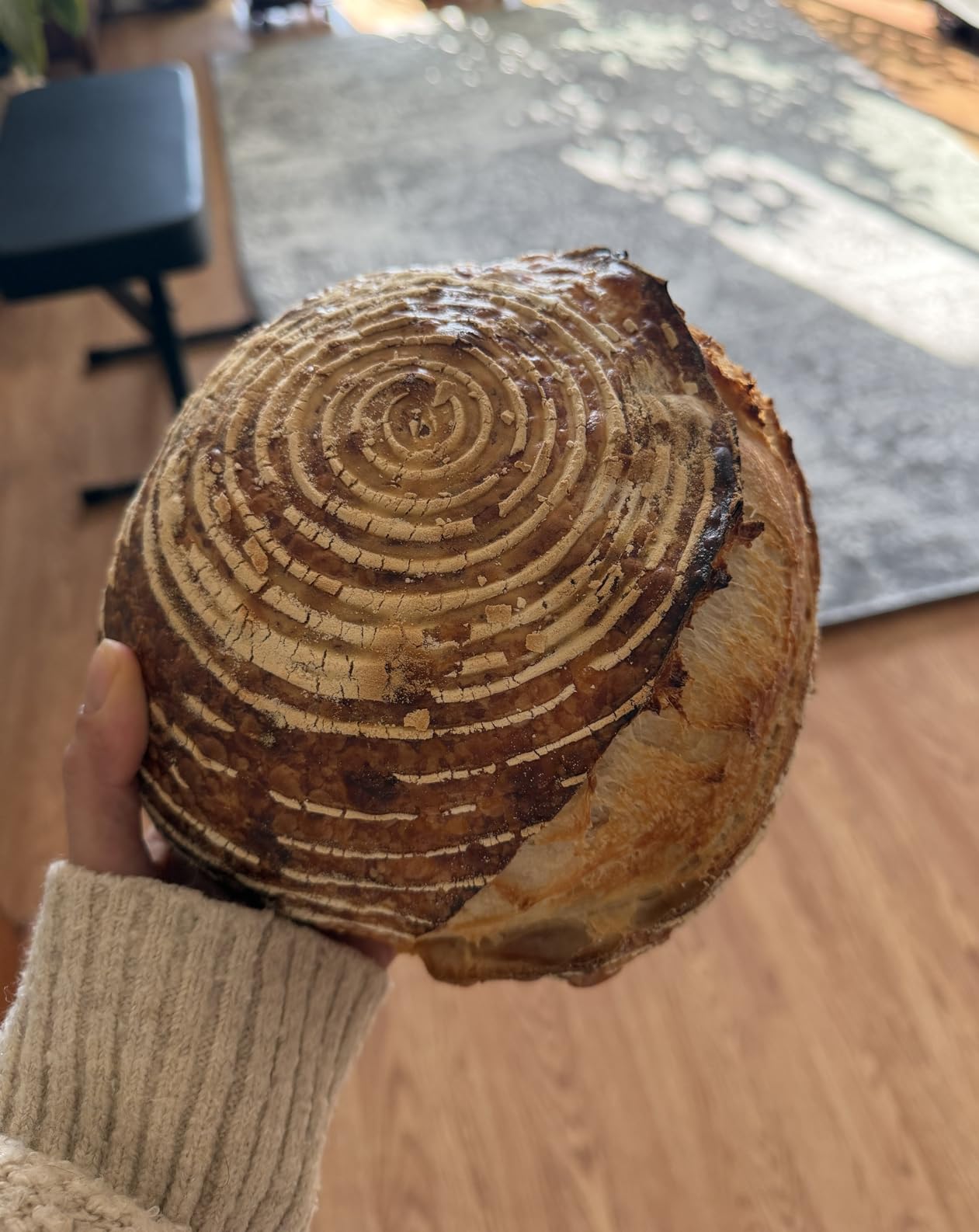 Brod & Taylor Ultralight Baking Shell for Sourdough Bread (Boule) - No Preheating Needed for Crispy Crust and Even Baking customer photo 1