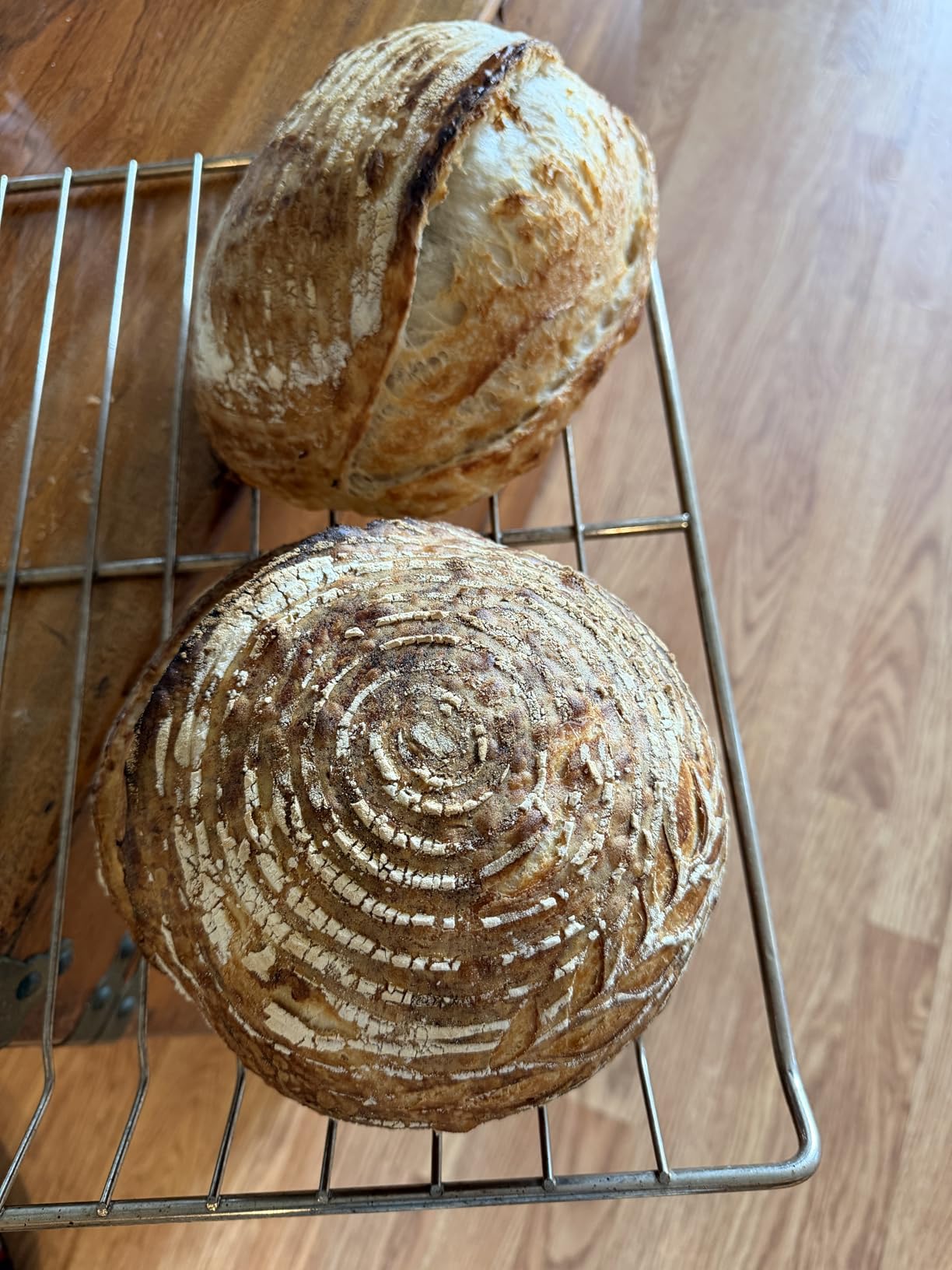 Brod & Taylor Ultralight Baking Shell for Sourdough Bread (Boule) - No Preheating Needed for Crispy Crust and Even Baking customer photo 2