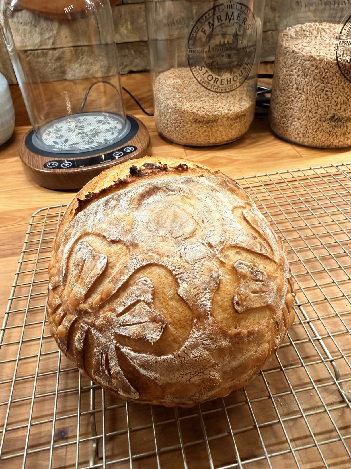 KUHA Cast Iron Bread Oven with Lid | Oval Sourdough Dutch Oven for Bread Baking | Pre-Seasoned Cast Iron Bread Pan | Bread Lame Included customer photo 1