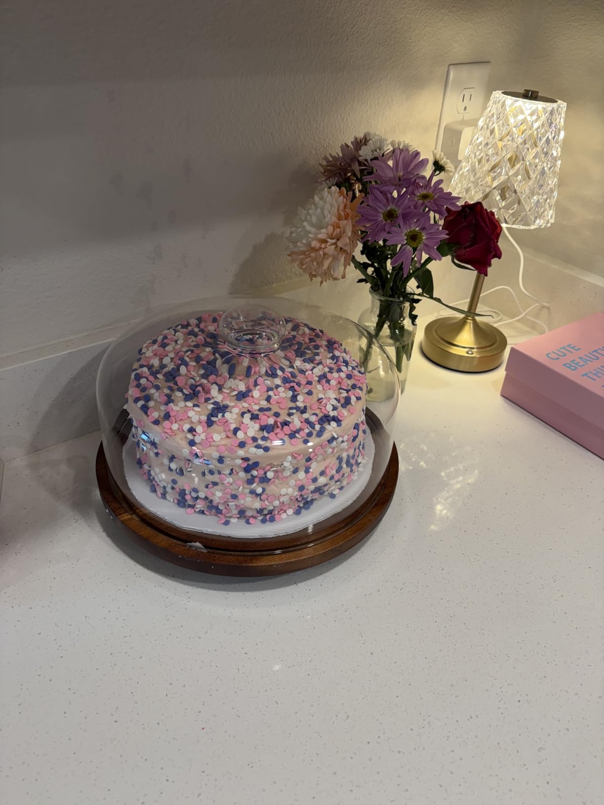 Yangbaga 11IN Wood Cake Stand with Dome Lid, Rotating Cake Stand with Glass Dome customer photo 1