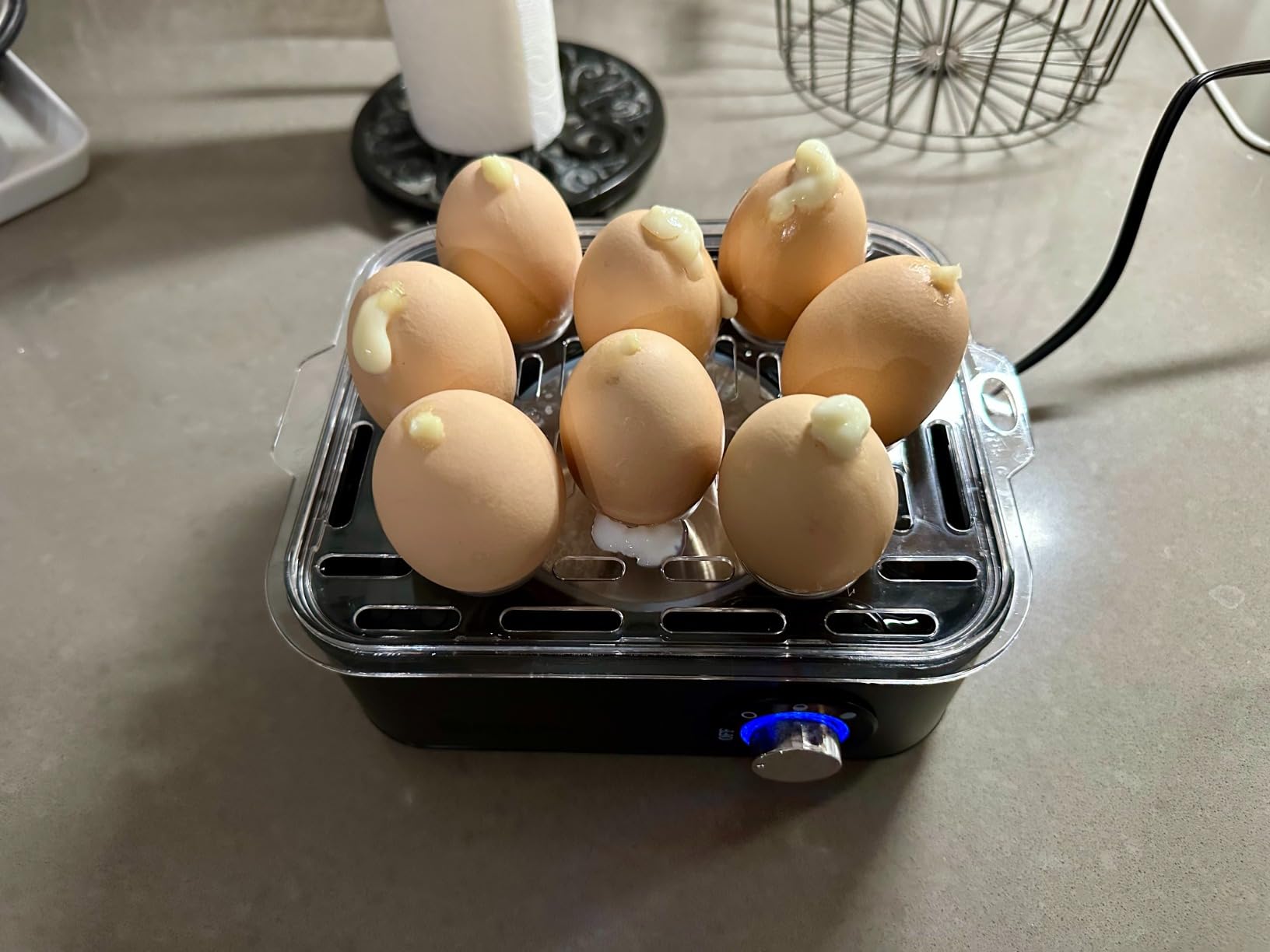 Stainless Steel Electric Rapid Egg Cooker, 8 Egg Capacity 500W, Soft/Medium/Hard Boiled Egg Boiler Poacher Steamer Omelet Maker, Knob Auto Shut-Off, with Recipe Guide Book (Black) customer photo 2