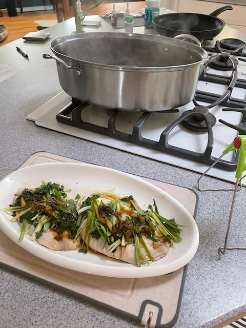 Stainless Steel Fish Steamer Set, Multi-Use Oval Steamer Pot with Glass Lid Rack, Ceramic Plate, Chuck, Steaming Pot for Fish, Oyster, Boiling Soup 15 x 9.8 inches customer photo 1