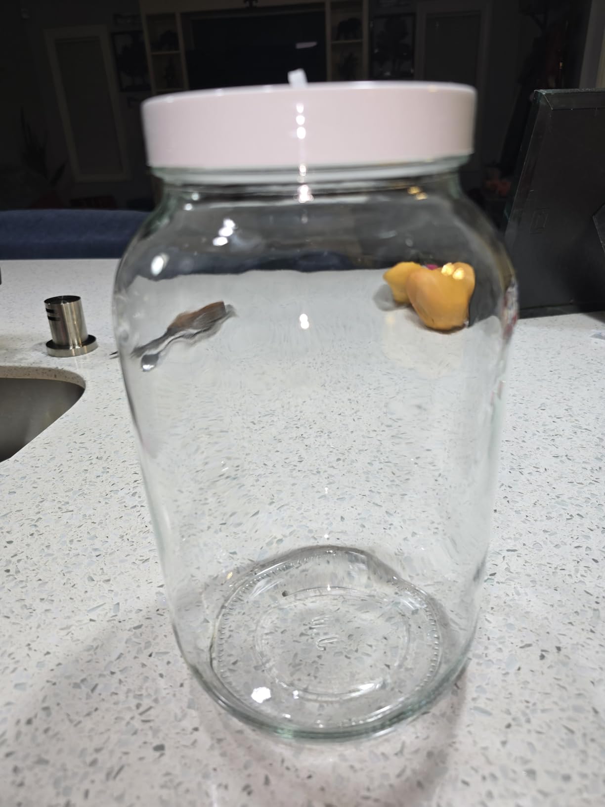 1 Gallon Large Glass Fermentation Jars for Kombucha Sourdough Starter, Wide Mouth Mead Making Kit, 2Pcs Glass Canning Jars with Fermentation Lid and Airlock customer photo 2